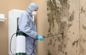 Best Environmental Consulting for Mold Prevention  in White Mountain Lake, AZ